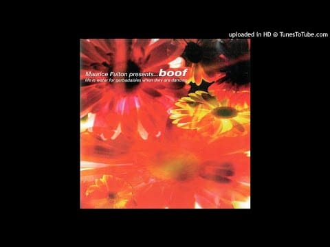 Maurice Fulton — Maurice Fulton - Jinga Boogie