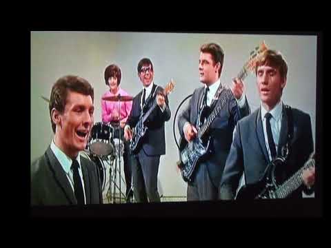 The Honeycombs — HONEYCOMBS   stereo  " Please Don't Pretend Again "  2022 mix...