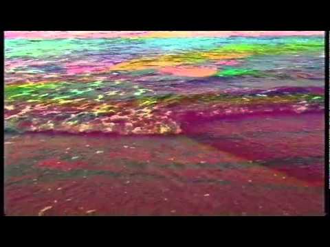 Luke Abbott — Luke Abbott - Trans Forest Alignment