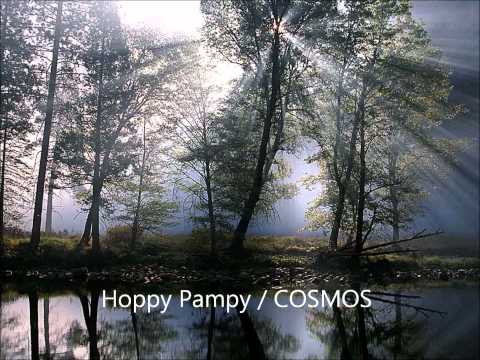 Cosmos (21) — Hoppy Pampy / COSMOS