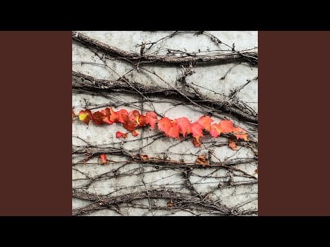 José Madero — Posa y Sonríe