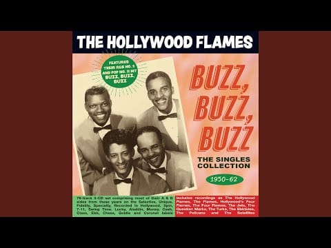 The Hollywood Flames — In The Dark
