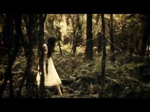 The Paper Kites — The Paper Kites - Bloom (Official Music Video)