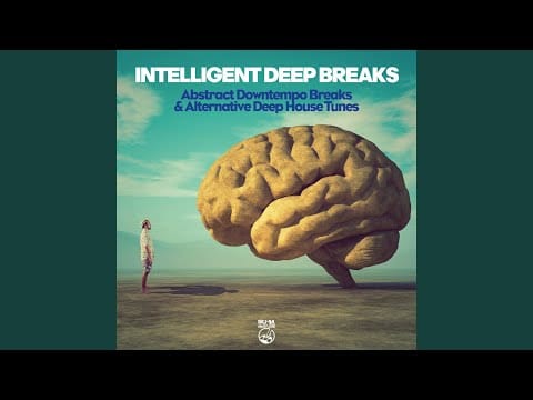 Cybophonia — Tribute (Swingsett & J. Warrin Remix)