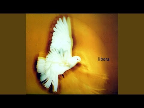 Libera — Salva me