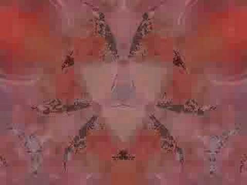 Sectio Aurea — G@F_-_clip_-_03_-_Sectio Aurea_-_What Is Like To Be A Tomato