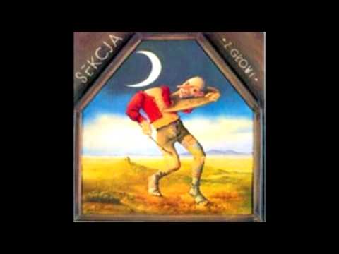 Piotr Bukartyk — Sekcja Piotr Bukartyk - Czuję, że umrę (Z Głowy)