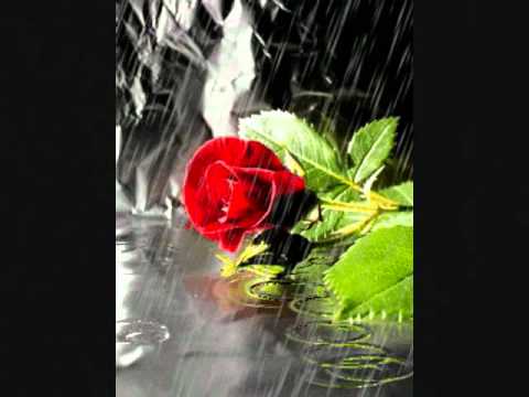 Claude Blanchard — J'aurais du lui dire Claude Blanchard