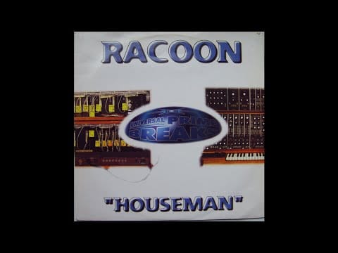 Racoon — Racoon - Insanity (Techno 1997)