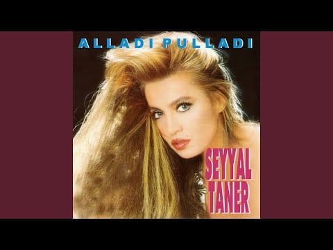 Seyyal Taner — Alladı Pulladı