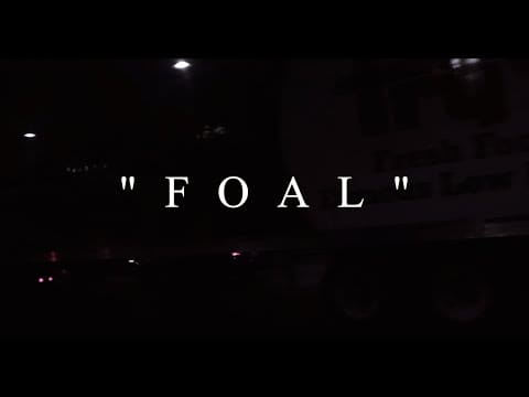 Holy Fawn — HOLY FAWN | Foal (Tour Video)