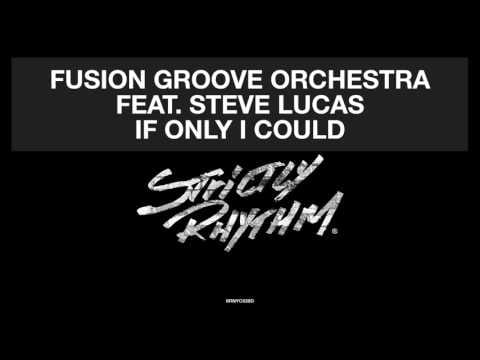 Fusion Groove Orchestra — Fusion Groove Orchestra Feat. Steve Lucas 'If Only I Could' (Boston Bun Remix)