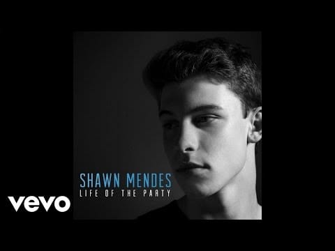 Shawn Mendes — Life Of The Party