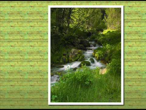 Paul Mauriat And His Orchestra — Paul Mauriat - The windmills of your mind (1969)