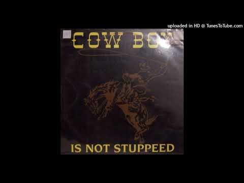 Cow Boy — Cow Boy - Is Not Stuppeed (Radio Mix)