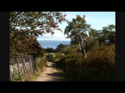 Pickettywitch — PICKETTYWITCH - SUMMERTIME FEELING.wmv