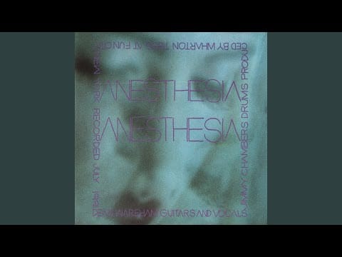 Dean Wareham — Tomato Poodle
