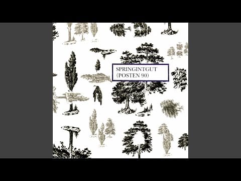 Springintgut — Hi Noon
