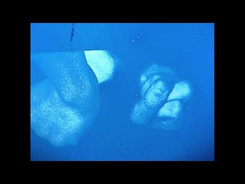 Julia Holter — Whether