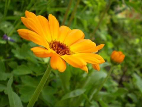 Jitka Molavcová — Teď hádej