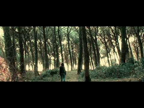 Giardini Di Mirò — Giardini di Mirò "Time on Time" [official video]