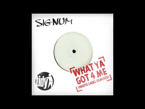 Signum — Signum - What Ya Got 4 Me (Andy Farley Remix) [Tidy]