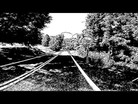Blue Orchids — Blue Orchids — I'm Higher Than I'm Down