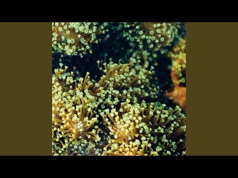 Balam Acab — Regret Making Mistakes