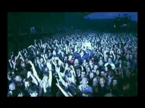 Amy Winehouse — Amy Winehouse - Live Eurockéennes De Belfort 2007 You Know I'm No Good (13/14)