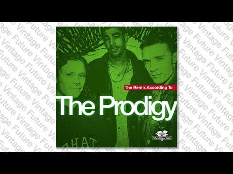 David Gray — David Gray - Babylon (Flightcrank Remix)