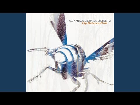 ALO * Animal Liberation Orchestra — Fly