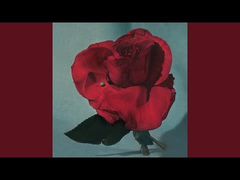 Metz — No Reservation / Love Comes Crashing