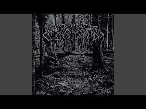 Wolves in the Throne Room — [A Shimmering Radiance] Diadem Of Twelve Stars