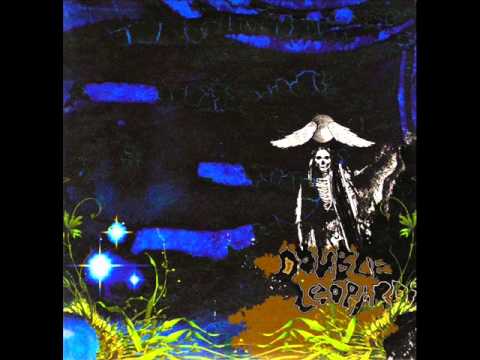 Double Leopards — Double Leopards - The Secret Correspondence part I