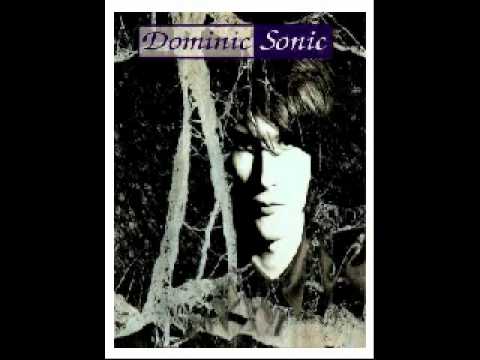 Dominic Sonic — Dominic Sonic - La folle de Saint Lunaire