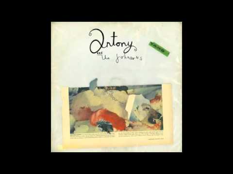 Antony and the Johnsons — Antony The Johnsons   Swanlights
