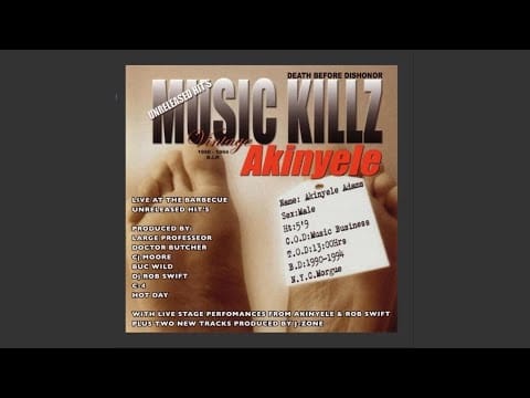 Akinyele — Stay Wild