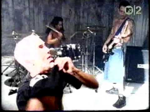 Electric Love Hogs — Tribal Monkey - Electric Love Hogs