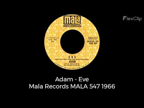 Adam (75) — Adam - Eve