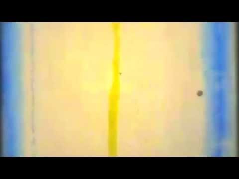 Mr. Roy — MR ROY - SAVED / BLUE BAMBOO 7" RADIO MIX
