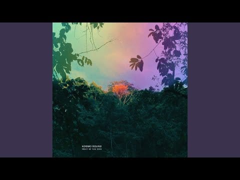 Kosmo Sound — Ototoxic