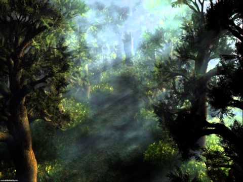 Husky Rescue — Husky Rescue - Silent Woods