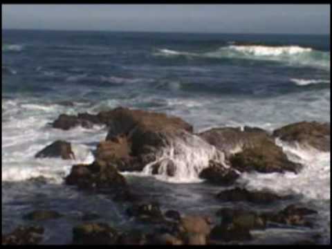 Angelo Badalamenti — The Beach Theme OST 【HQ】