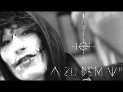 Shocky — SHOCKY - M ZU DEM W (Prod. Shocky)