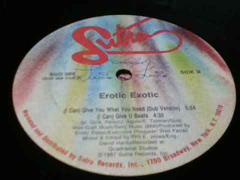 Erotic Exotic — EROTIC EXOTIC- [I CAN] GIVE YOU WHAT YOU NEED DUB
