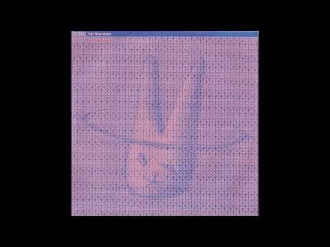 The Shins — The Shins - My Seventh Rib (Album Version)