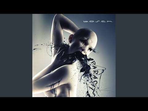 b.o.s.c.h. — Goldener Reiter