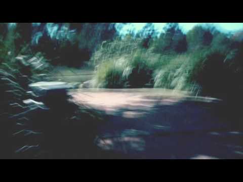 AshMcAuliffe — AshMcAuliffe - Auxesis