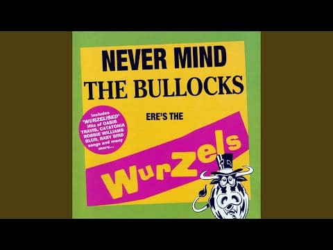 The Wurzels — You're Gorgeous