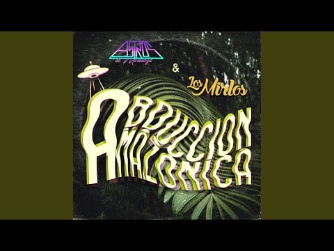 Los Mirlos — Lamento en la Selva (Remix)